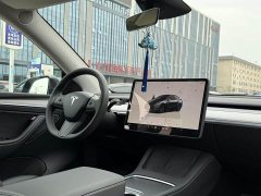 Tesla Model Y Rear-Wheel Drive - ფოტო 8