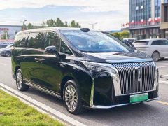 Great Wall WEY Shanshan New Energy Four-Wheel Drive Shanshan 8 - ფოტო 3