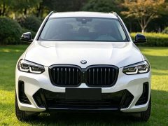 BMW X3 Facelift xDrive30i Leading Edition M Night Package - ფოტო 2