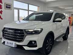 Haval H6 2021 National Trend Edition 1.5T Automatic Urban Version - ფოტო 1