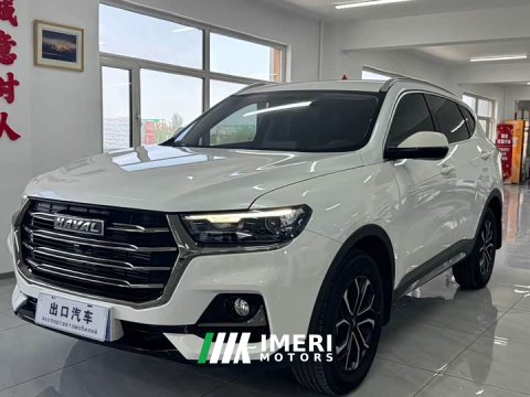 2022 Haval H6 2021 National Trend Edition 1.5T Automatic Urban Version - ავტომობილი ჩინეთიდან