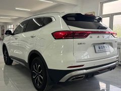Haval H6 2021 National Trend Edition 1.5T Automatic Urban Version - ფოტო 14