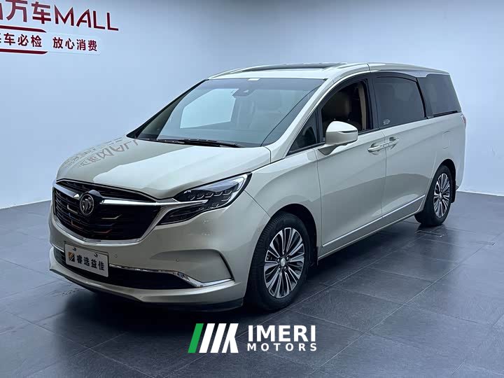 Buick GL8 ES Lu Zun 653T Premier