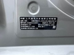 Buick GL8 ES Lu Zun 653T Premier - ფოტო 8