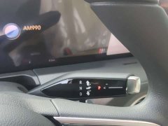Buick GL8 2025 Land Executive Cabin Advance Edition - ფოტო 14
