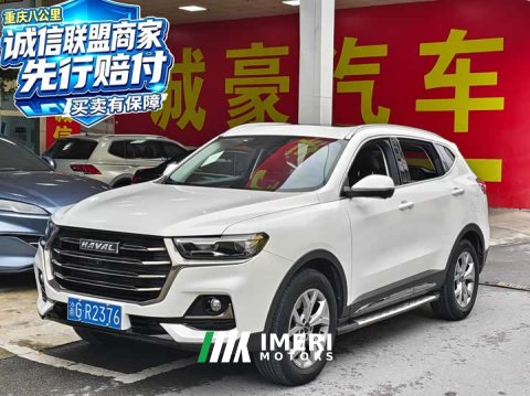 2021 Haval H6 National Trend 1.5T Automatic Champion Edition - ავტომობილი ჩინეთიდან