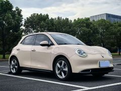 ORA Good Cat 400km Standard Range Venus Edition LFP Battery - ფოტო 3
