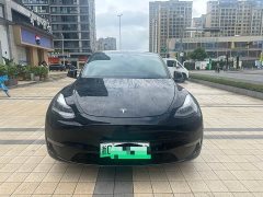 Tesla Model Y Long Range All-Wheel Drive - ფოტო 1