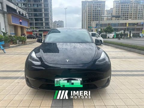 2021 Tesla Model Y Long Range All-Wheel Drive - ავტომობილი ჩინეთიდან