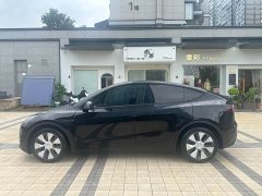 Tesla Model Y Long Range All-Wheel Drive - ფოტო 10