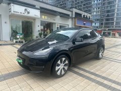 Tesla Model Y Long Range All-Wheel Drive - ფოტო 3