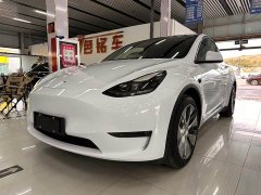 Tesla Model Y Long Range All-Wheel Drive - ფოტო 1