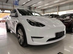 Tesla Model Y Long Range All-Wheel Drive - ფოტო 3