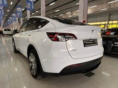 Tesla Model Y Long Range All-Wheel Drive - ფოტო 4