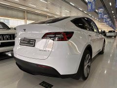Tesla Model Y Long Range All-Wheel Drive - ფოტო 6
