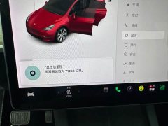 Tesla Model Y Long Range All-Wheel Drive - ფოტო 7