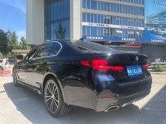 BMW 5 Series 530Li Premier M Sport Package - ფოტო 12