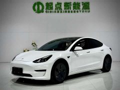 Tesla Model 3 Standard Range RWD Upgrade - ფოტო 1