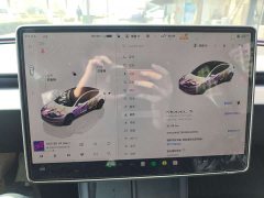 Tesla Model 3 2023 Long Range All-Wheel Drive - ფოტო 12