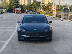 Tesla Model 3 2023 Long Range All-Wheel Drive - ფოტო 2