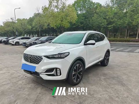 2021 Great Wall WEY VV6 2.0T Two-Wheel Drive Smart Protection - ავტომობილი ჩინეთიდან