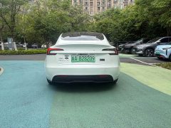 Tesla Model 3 Long Range All-Wheel Drive - ფოტო 11