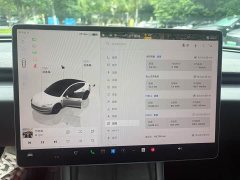 Tesla Model 3 Long Range All-Wheel Drive - ფოტო 6