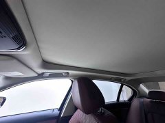 BMW 3 Series 320Li M Sport Package - ფოტო 12