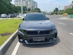 Voyah Lantu FREE 318 318km RWD World Tour Edition - ფოტო 2