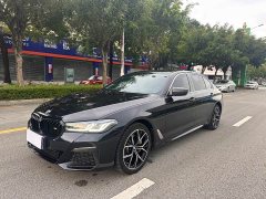 BMW 5 Series 530Li Luxury M Sport Package - ფოტო 1
