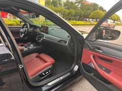 BMW 5 Series 530Li Luxury M Sport Package - ფოტო 10