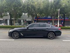 BMW 5 Series 530Li Luxury M Sport Package - ფოტო 11