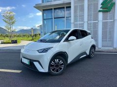 BYD Seagull Glory Edition 305km Vitality Version - ფოტო 1