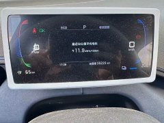 BYD Seagull Glory Edition 305km Vitality Version - ფოტო 15