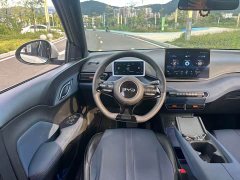 BYD Seagull Glory Edition 305km Vitality Version - ფოტო 16