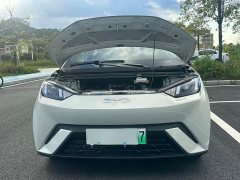 BYD Seagull Glory Edition 305km Vitality Version - ფოტო 18