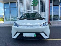 BYD Seagull Glory Edition 305km Vitality Version - ფოტო 2