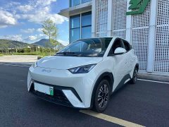 BYD Seagull Glory Edition 305km Vitality Version - ფოტო 20