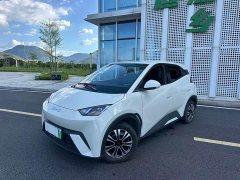 BYD Seagull Glory Edition 305km Vitality Version - ფოტო 4
