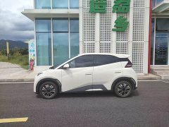 BYD Seagull Glory Edition 305km Vitality Version - ფოტო 5