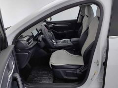 BYD Destroyer 05 Glory Edition DM-i 55KM Luxury - ფოტო 10