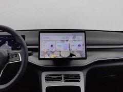 BYD Destroyer 05 Glory Edition DM-i 55KM Luxury - ფოტო 12