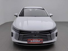 BYD Destroyer 05 Glory Edition DM-i 55KM Luxury - ფოტო 3