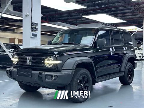 2024 Tank 300 2.0T Challenger - ავტომობილი ჩინეთიდან