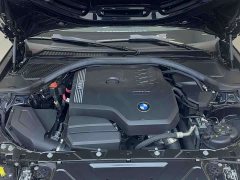 BMW 3 Series 320Li M Sport Package - ფოტო 18