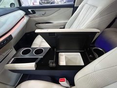 Buick GL8 New Energy Luzun Luxury Edition 6-Seater - ფოტო 16