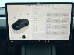 Tesla Model Y Rear-Wheel Drive - ფოტო 13