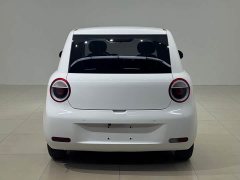Changan Lumin 2023 205km Xiangqin Edition - ფოტო 6