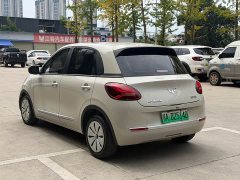 Wuling Binguo 2023 333km Quick Enjoy Edition - ფოტო 14