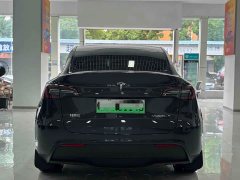 Tesla Model Y 2024 Rear-Wheel Drive - ფოტო 10